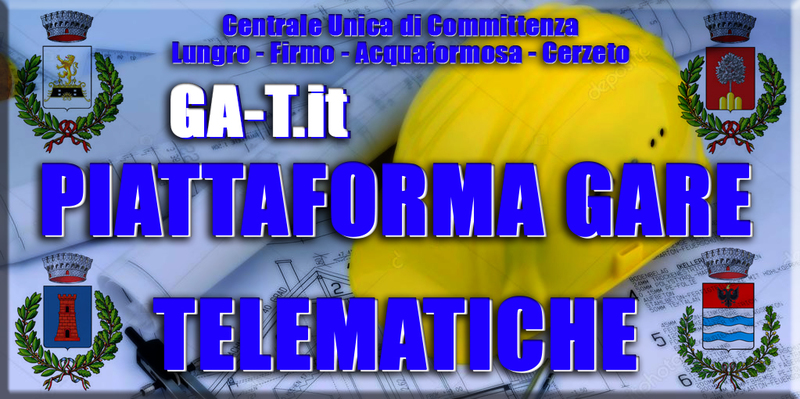 Piattaforma Gare Telematiche